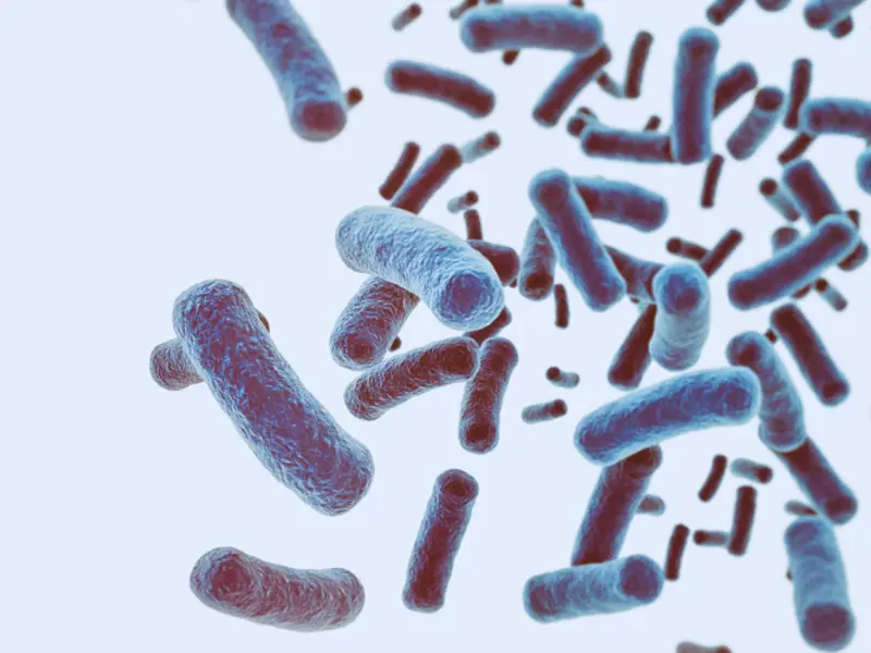 Medcast Partners with the University of Wollongong to Combat Antimicrobial Resistance