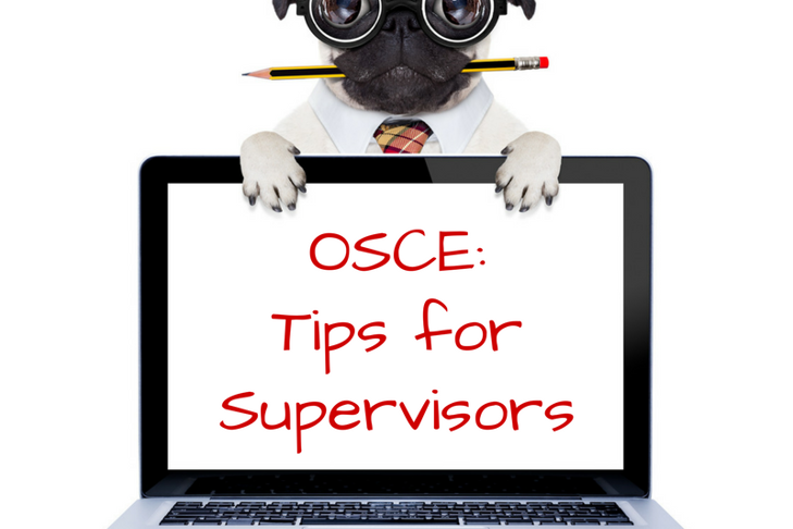 The Idiot’s Guide to the OSCE Exam. Part 1 : Tips for Supervisors