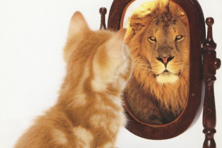 Professional identities – where do they come from, and why are they important?