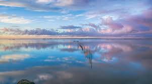 2020, a year in review: Dr Srishti Dutta