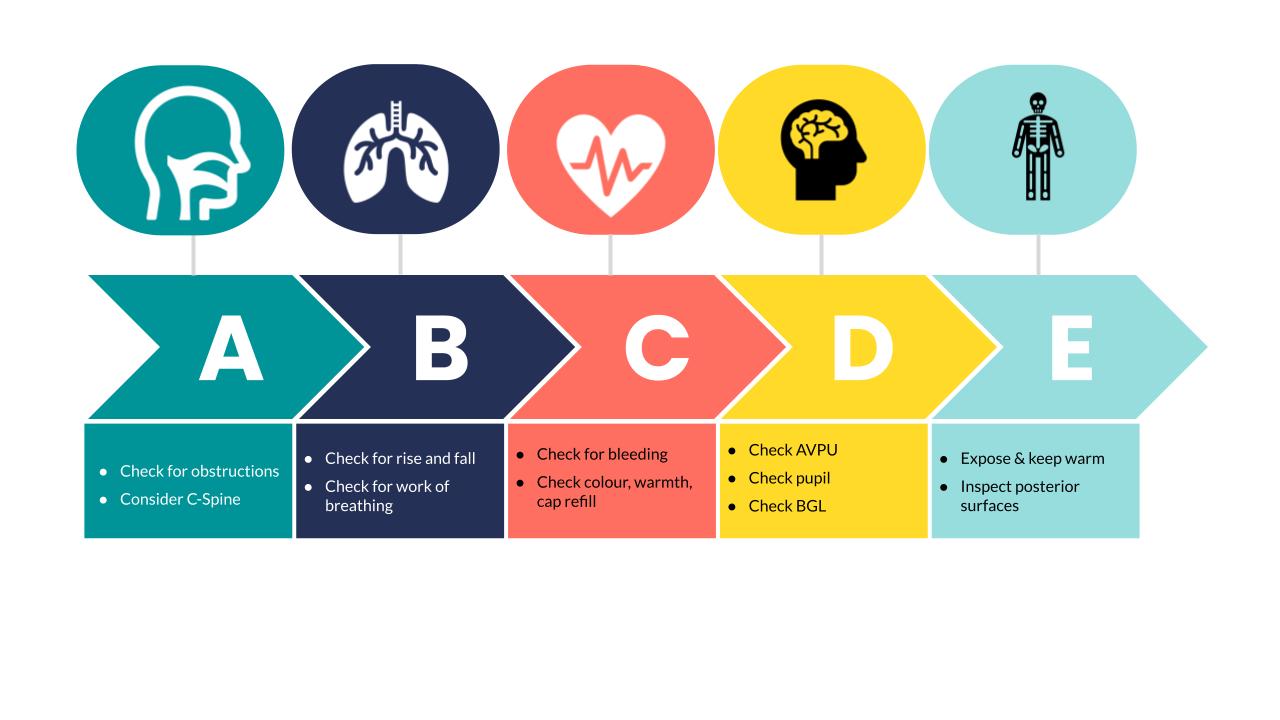 Article The ABCDE primary assessment in the emergency department in  medically ill patients an observational pilot study full text - April  2017 - NJM