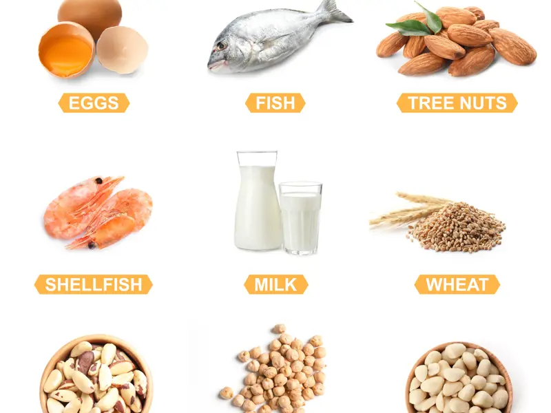 Australia: Why are we the allergy capital of the world?