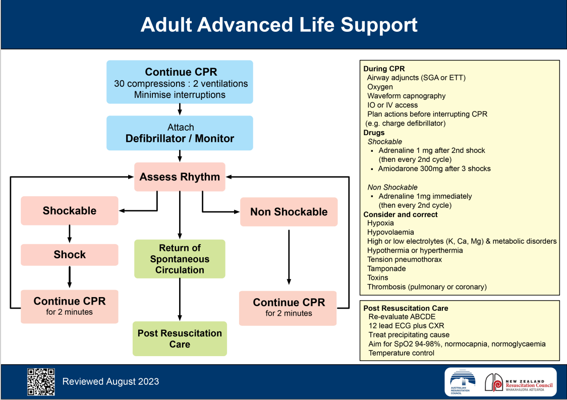 adult advanced life support flowchart 2023
