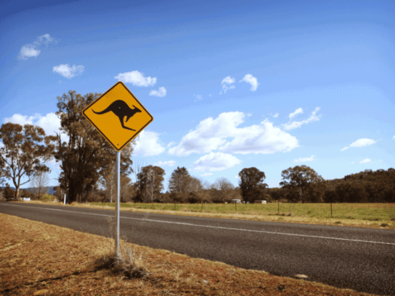 Grants for GPs & Nurses - are you eligible?