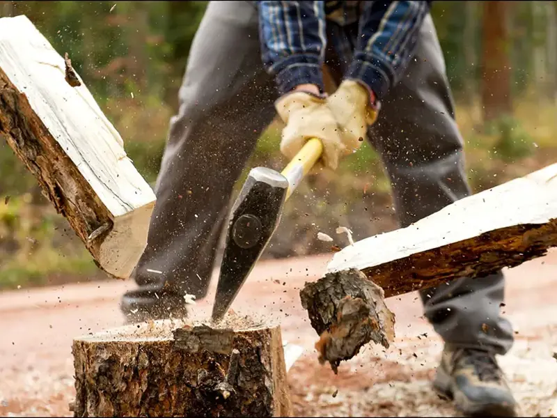 If I were a lumberjack would I have been OK?