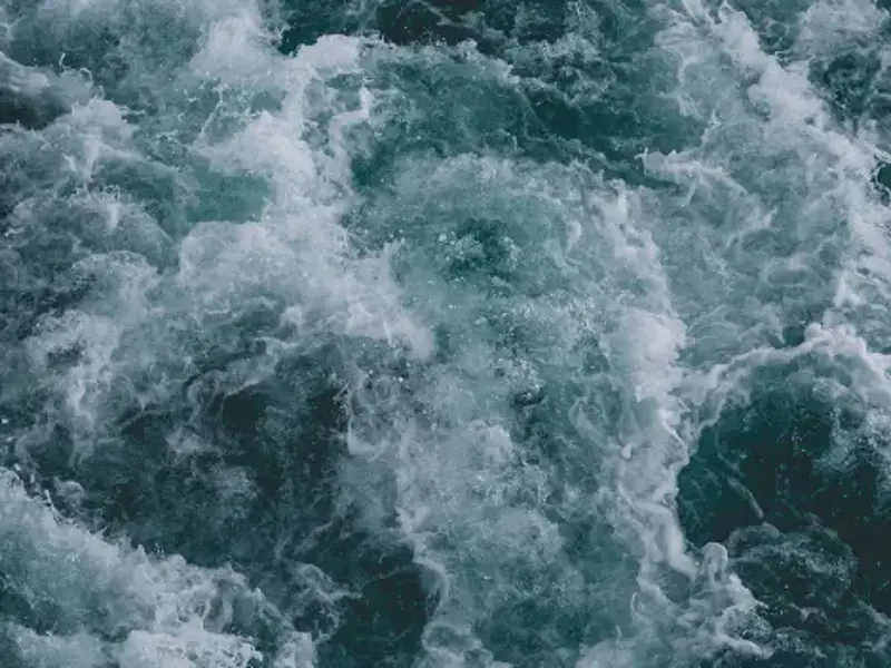 Conversations about youth mental health: new program supports GPs to reposition antidepressant use in young people