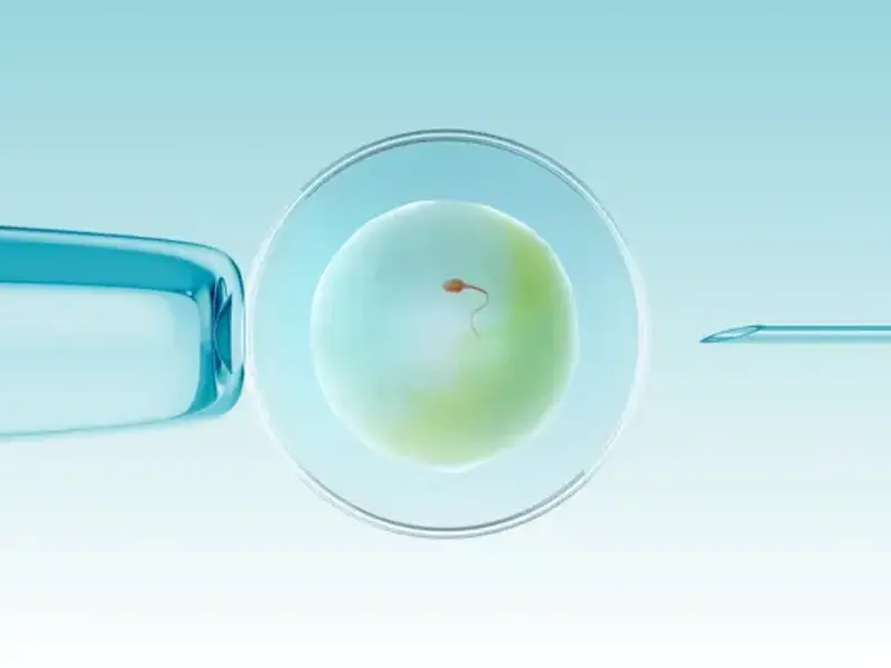 Male infertility - clinical fact sheet and MCQ