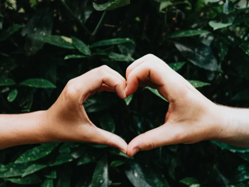 Keeping the beat in 2024: Medcast & RACGP renew partnership for online CPR