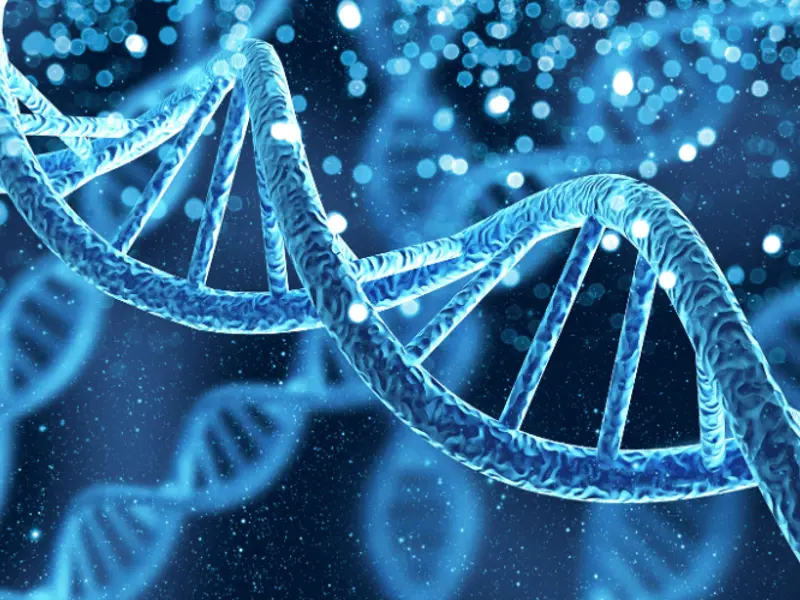 PRECISE Genomics Research Project: Increasing Capacity for Precision Medicine in Primary Healthcare