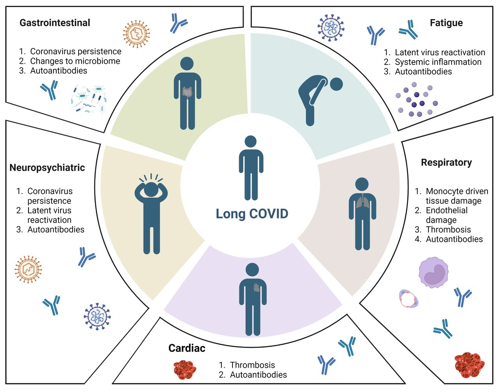 long covid overview