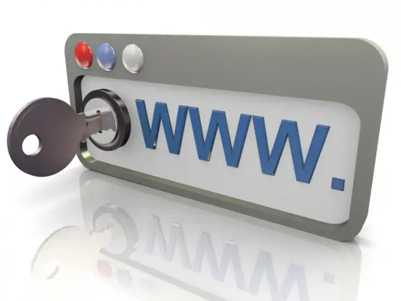 Suicide and Internet Security in Online Treatment Programs