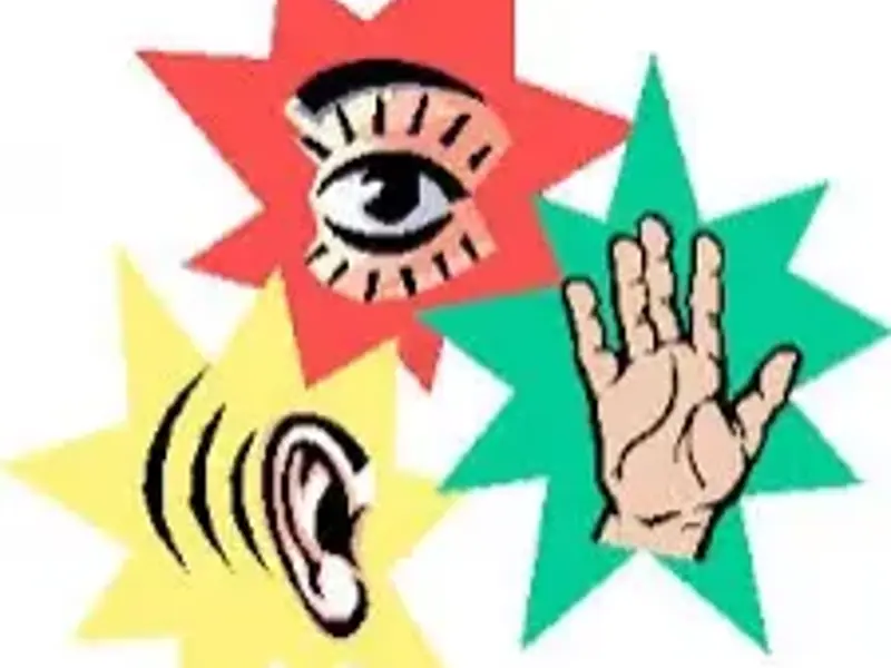 Are learning styles a myth?