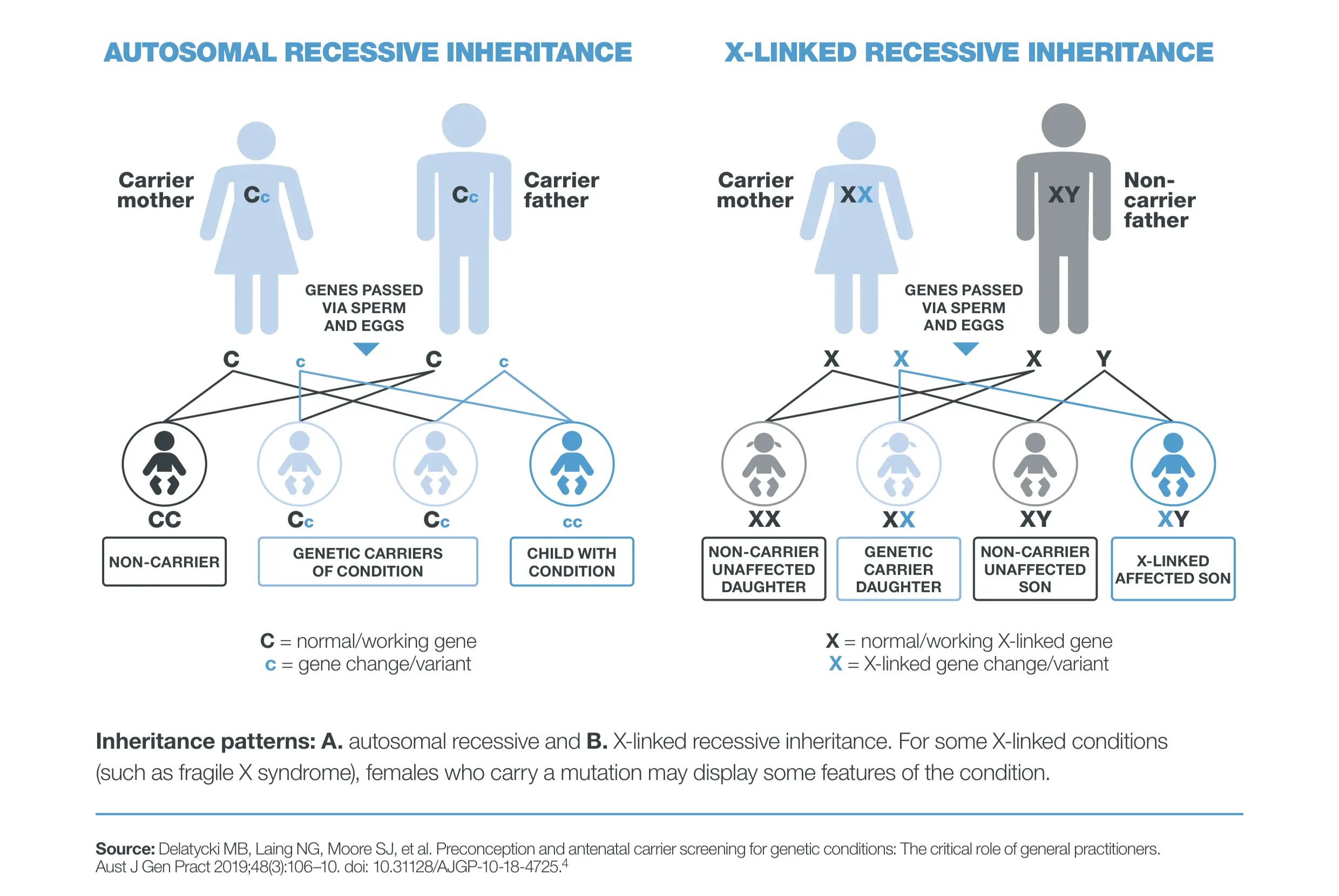 RGCS FT Image 1 autosomal recessive and X-linked inheritance patterns